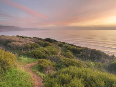 Michaels_Path_optimized_300